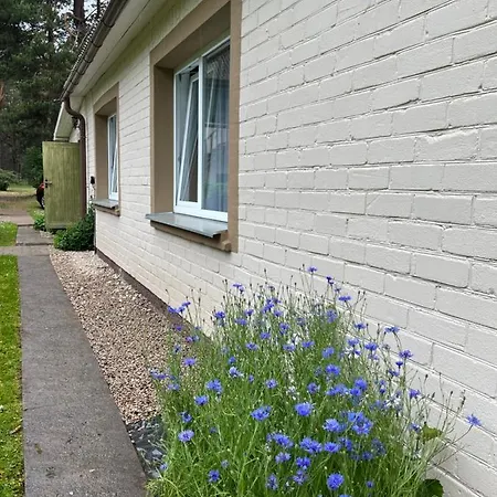 Family House 